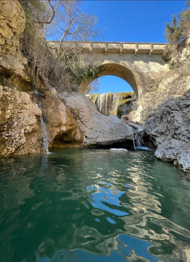 Sous Les Etoiles En Provence, Gite Les Bambous Lurs Exteriér fotografie